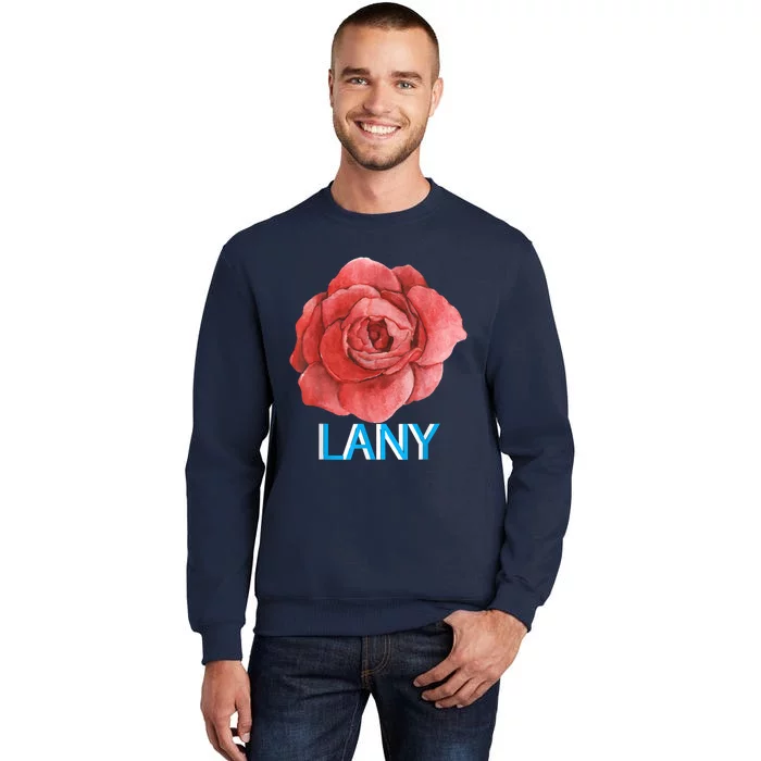 Lany Dumb Stuff Sweatshirt