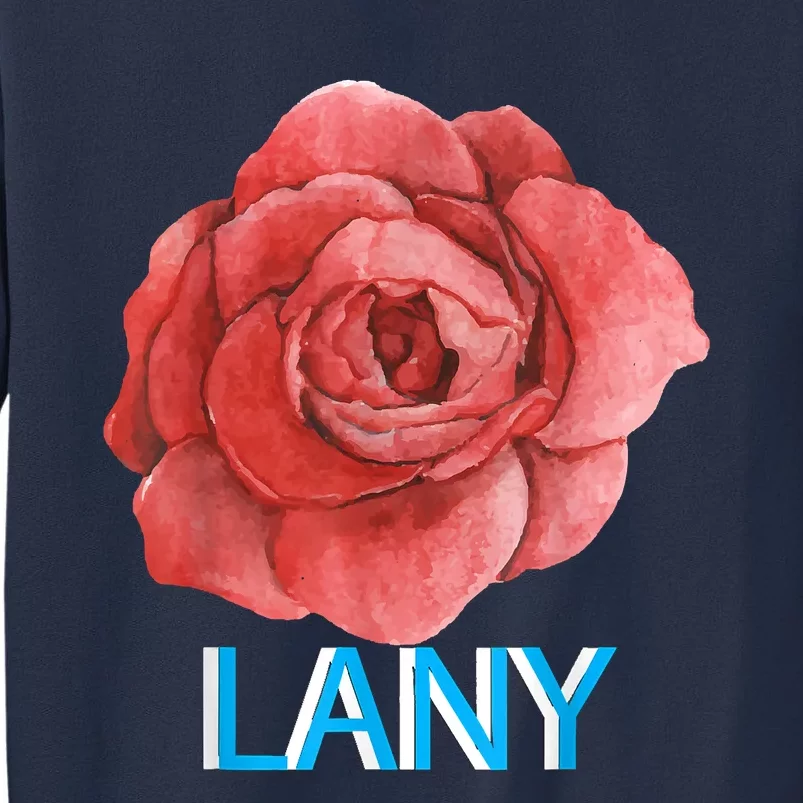 Lany Dumb Stuff Sweatshirt