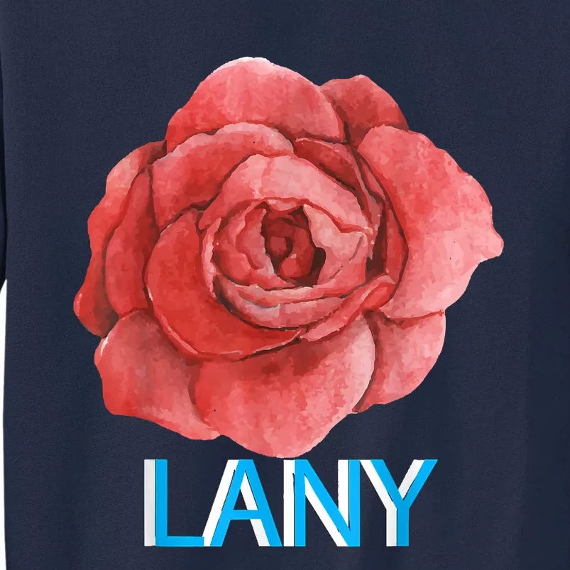 Lany Dumb Stuff Tall Sweatshirt