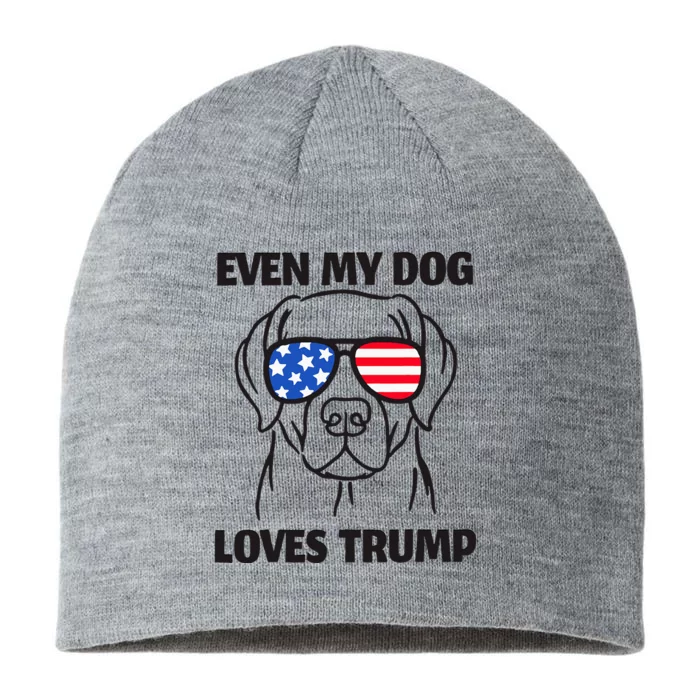 Labrador Dog Sunglasses Usa Flag Even My Dog Loves Trump 8 1/2in Sustainable Knit Beanie