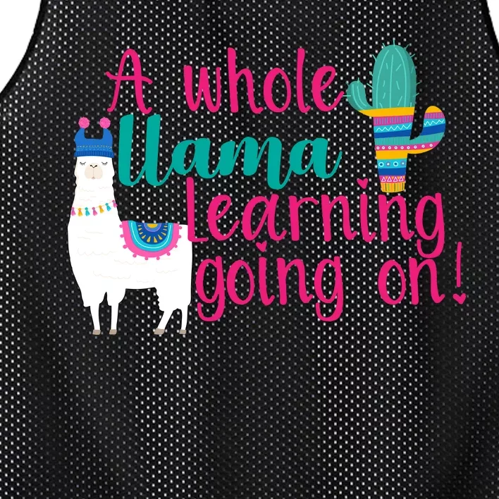 Learning Llama Mesh Reversible Basketball Jersey Tank