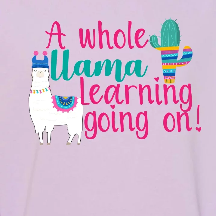 Learning Llama Garment-Dyed Sweatshirt