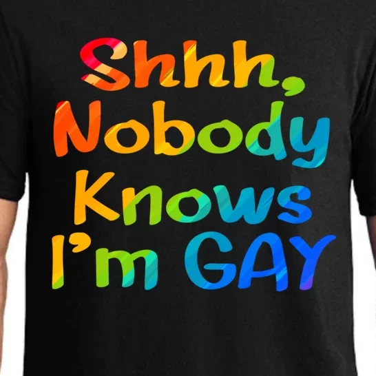 Lgbtq+ Equality Bisexual Lesbian Shh Nobody Knows Im Gay Gift Pajama Set