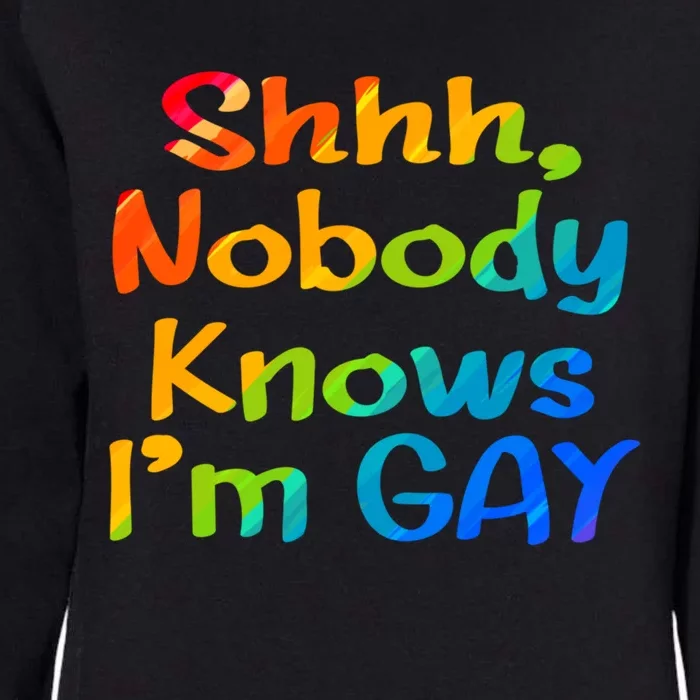 Lgbtq+ Equality Bisexual Lesbian Shh Nobody Knows Im Gay Gift Womens California Wash Sweatshirt