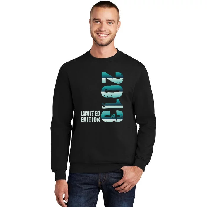 Limited Edition Birthday Made In 2013 Funny Gift Sweatshirt