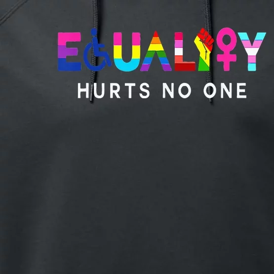 Lgbt Equality Hurts No One Pride Human Rights Performance Fleece Hoodie