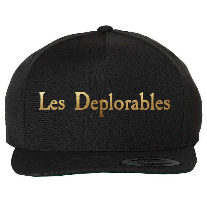 Les Deplorables USA Donald Trump 2016 Wool Snapback Cap