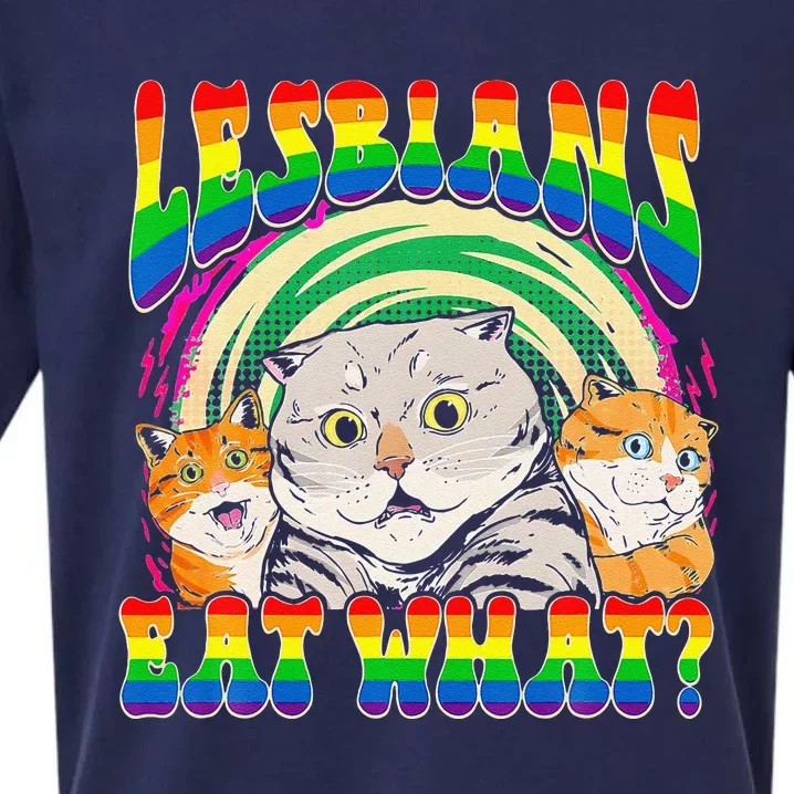 Lesbians Eat What Cat National Coming Out Day LGBQ Pride Sueded Cloud Jersey T-Shirt