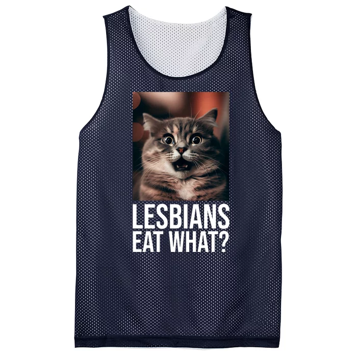 Lesbians Eat What Funny Cat Meme Mesh Reversible Basketball Jersey Tank