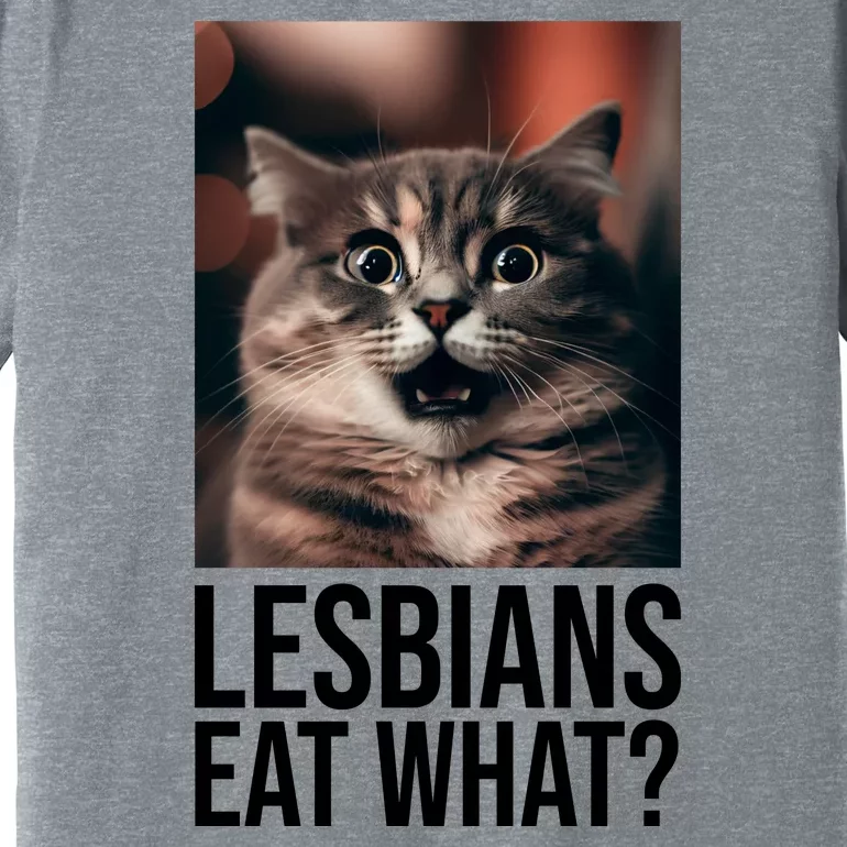 Lesbians Eat What Funny Cat Meme Premium T-Shirt