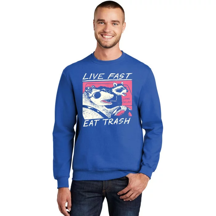 Live Fast Eat Trash And Get Hit By A Car Sunset Raccoon Tall Sweatshirt