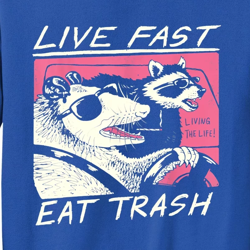 Live Fast Eat Trash And Get Hit By A Car Sunset Raccoon Tall Sweatshirt