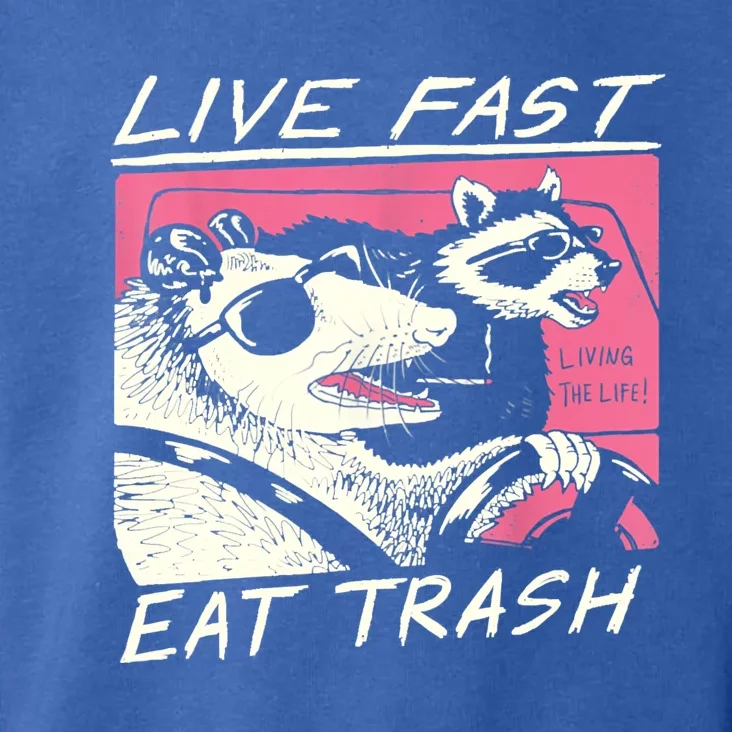 Live Fast Eat Trash And Get Hit By A Car Sunset Raccoon Toddler Hoodie