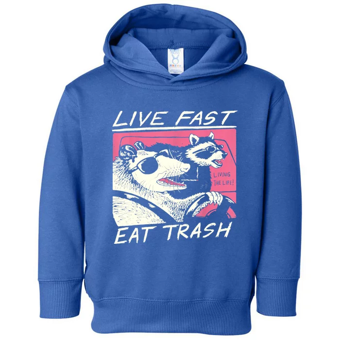 Live Fast Eat Trash And Get Hit By A Car Sunset Raccoon Toddler Hoodie