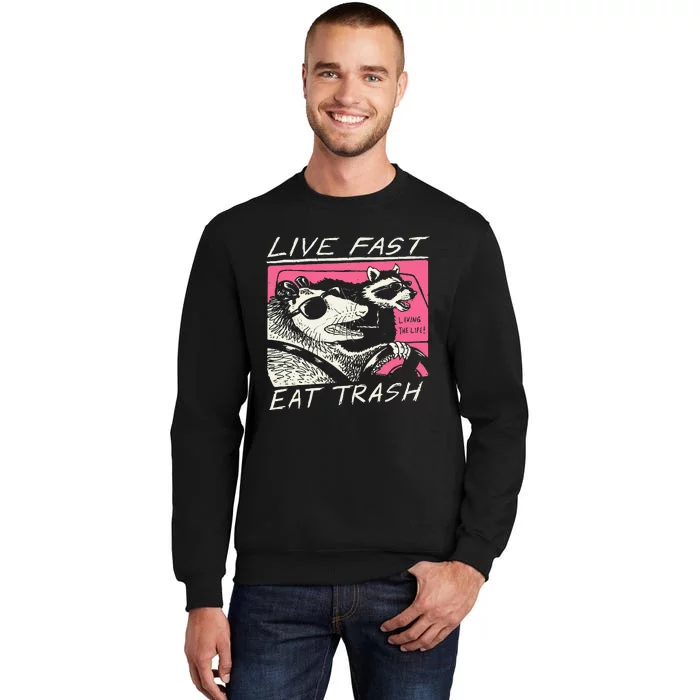 Live Fast Eat Trash And Get Hit By A Car Sunset Raccoon Sweatshirt