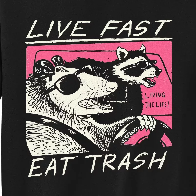 Live Fast Eat Trash And Get Hit By A Car Sunset Raccoon Sweatshirt