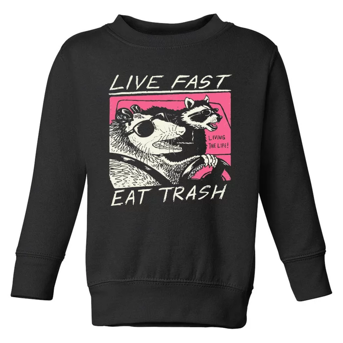 Live Fast Eat Trash And Get Hit By A Car Sunset Raccoon Toddler Sweatshirt