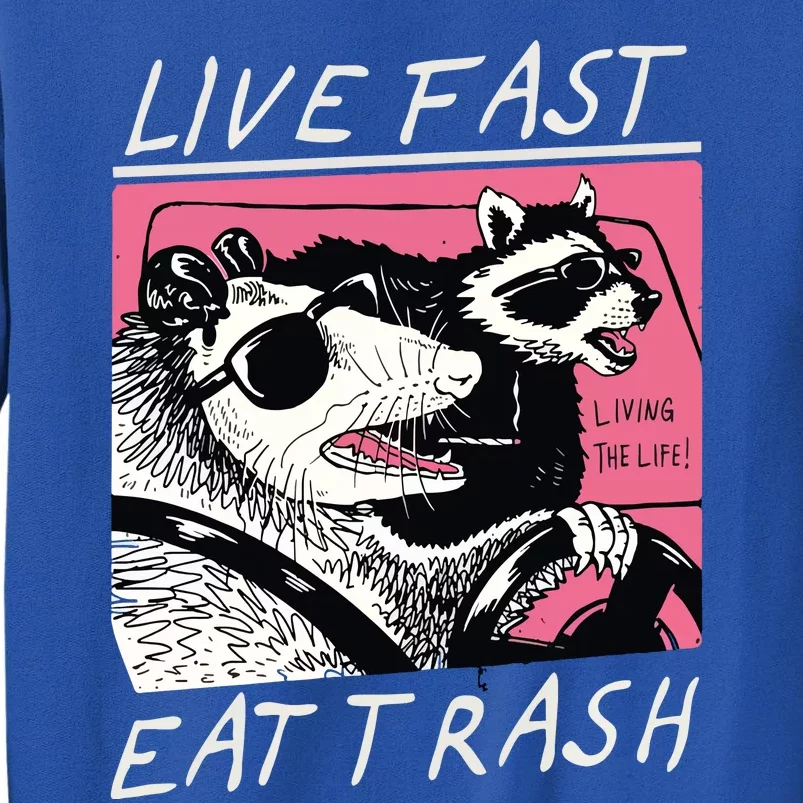 Live Fast Eat Trash Animal Raccoon Sweatshirt