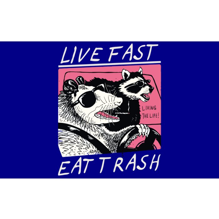 Live Fast Eat Trash Animal Raccoon Bumper Sticker