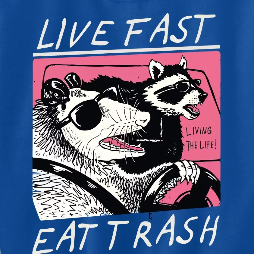 Live Fast Eat Trash Animal Raccoon Kids Sweatshirt