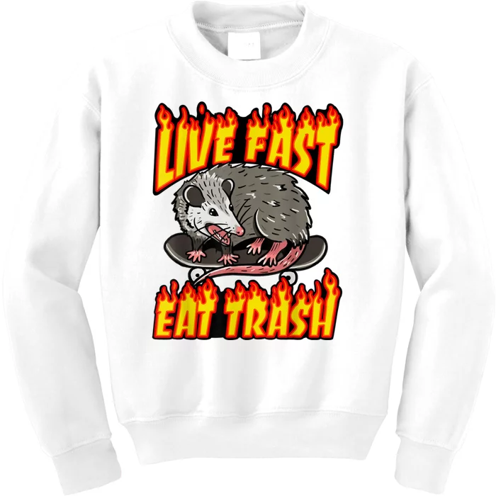 Live Fast Eat Trash Possum Vintage Funny Skateboard Kids Sweatshirt