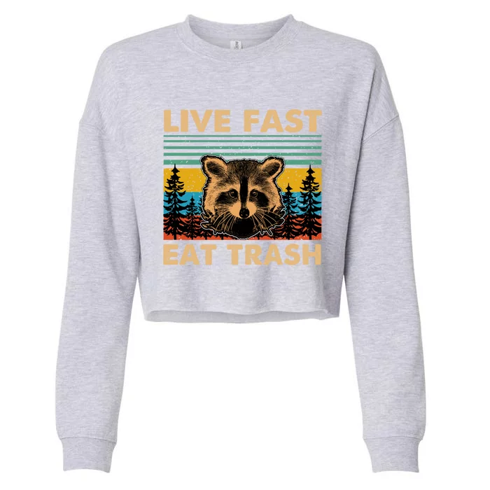 Live Fast Eat Trash Funny Raccoon Camping Vintage Retro Great Gift Cropped Pullover Crew