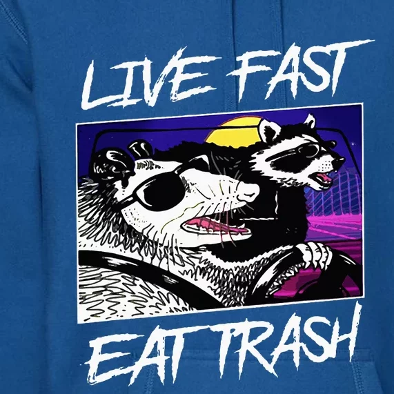 Live Fast Eat Trash Panda Raccoon Opossum Enthusiasts Premium Hoodie