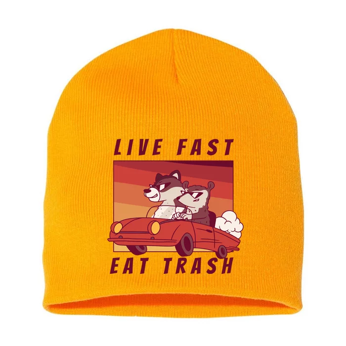 Live Fast Eat Trash Race Car Funny Raccoon Short Acrylic Beanie