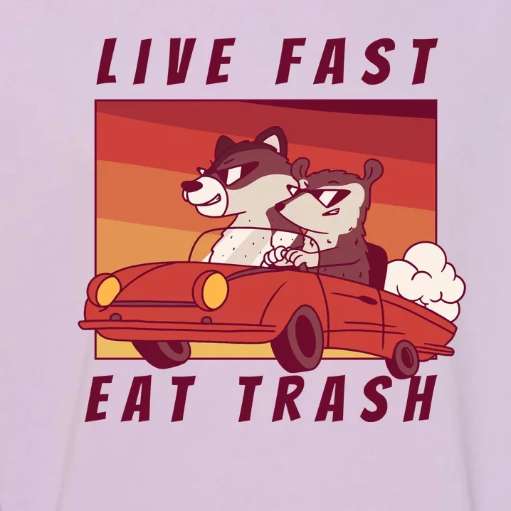 Live Fast Eat Trash Race Car Funny Raccoon Garment-Dyed Sweatshirt