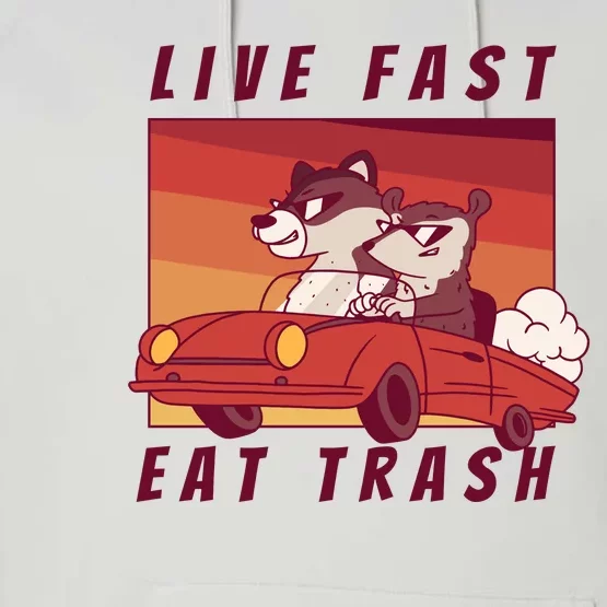 Live Fast Eat Trash Race Car Funny Raccoon Performance Fleece Hoodie