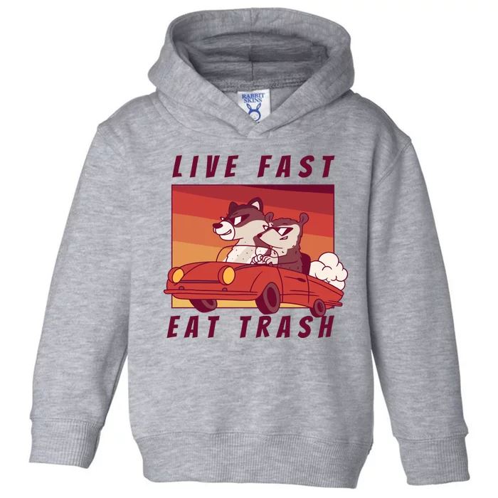 Live Fast Eat Trash Race Car Funny Raccoon Toddler Hoodie