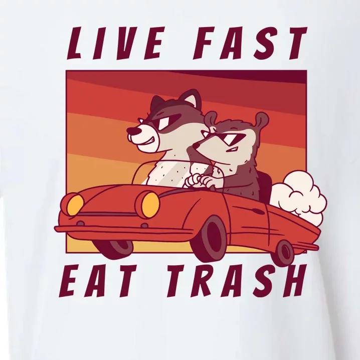 Live Fast Eat Trash Race Car Funny Raccoon Sueded Cloud Jersey T-Shirt