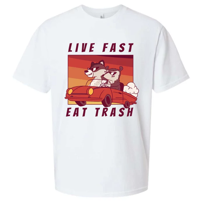 Live Fast Eat Trash Race Car Funny Raccoon Sueded Cloud Jersey T-Shirt