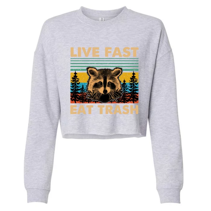 Live Fast Eat Trash Funny Raccoon Camping Vintage Retro Gift Cropped Pullover Crew