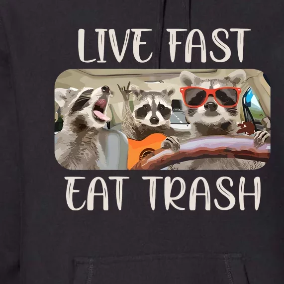 Live Fast Eat Trash Animal Raccoon Premium Hoodie