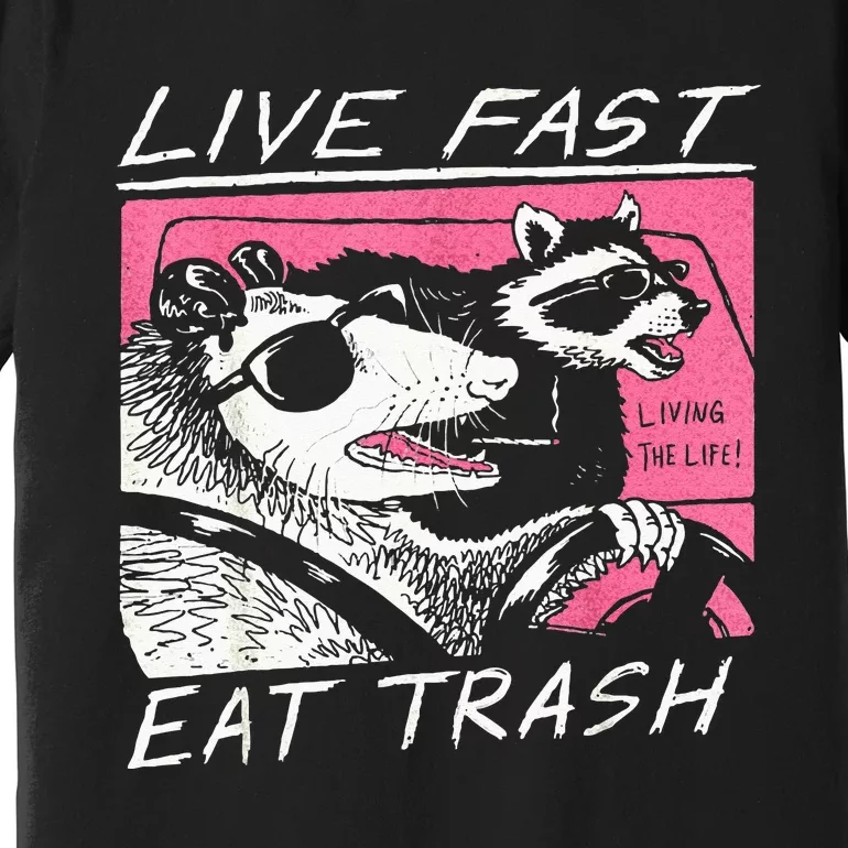 Live Fast Eat Trash And Get Hit By A Car Sunset Raccoon Premium T-Shirt