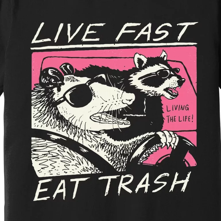 Live Fast Eat Trash And Get Hit By A Car Sunset Raccoon Premium T-Shirt