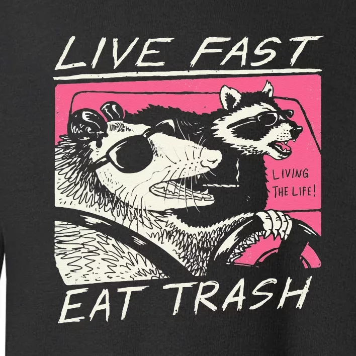 Live Fast Eat Trash And Get Hit By A Car Sunset Raccoon Toddler Sweatshirt