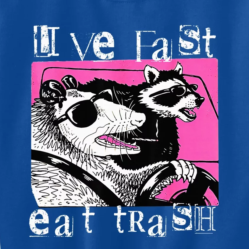 Live Fast Eat Trash Funny Possum Racoon Retro Sunglasses Kids Sweatshirt