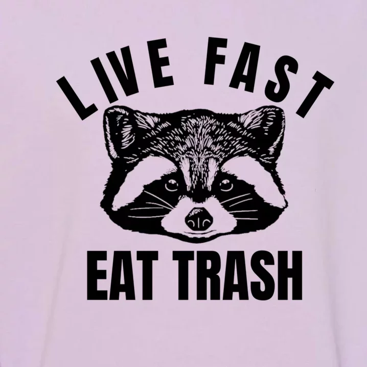 Live Fast Eat Trashfunny Gift Funny Raccoon Design Gift Garment-Dyed Sweatshirt