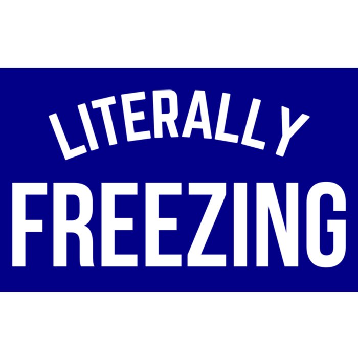 Literally Freezing I Am Literally Freezing Cold Gift Bumper Sticker