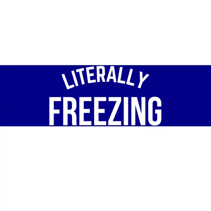 Literally Freezing I Am Literally Freezing Cold Gift Bumper Sticker