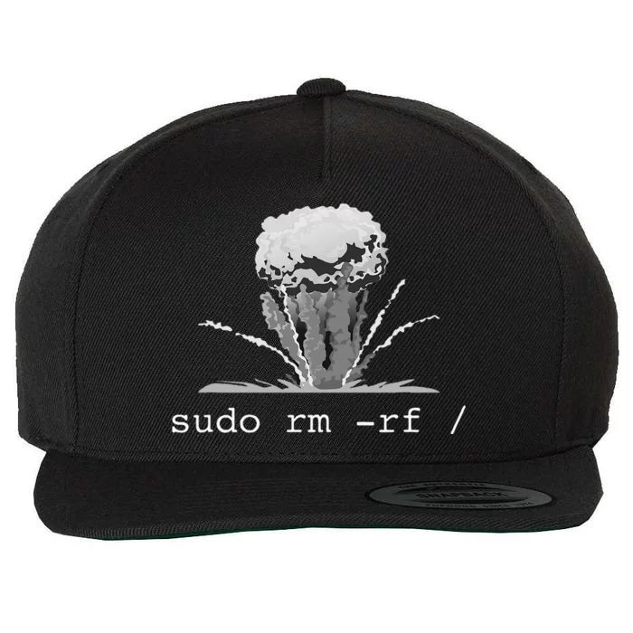 Linux Funny Linux Gift Command Sudo RM RF Wool Snapback Cap