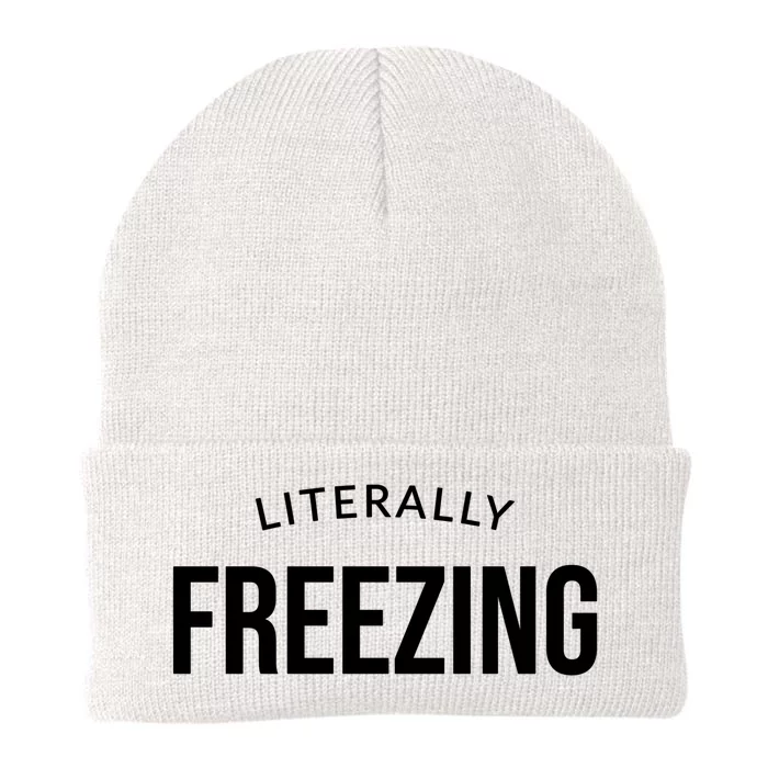 Literally Freezing Knit Cap Winter Beanie