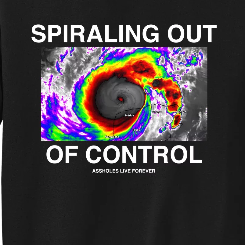 Linda Finegold Store Spiraling Out Of Control Tall Sweatshirt