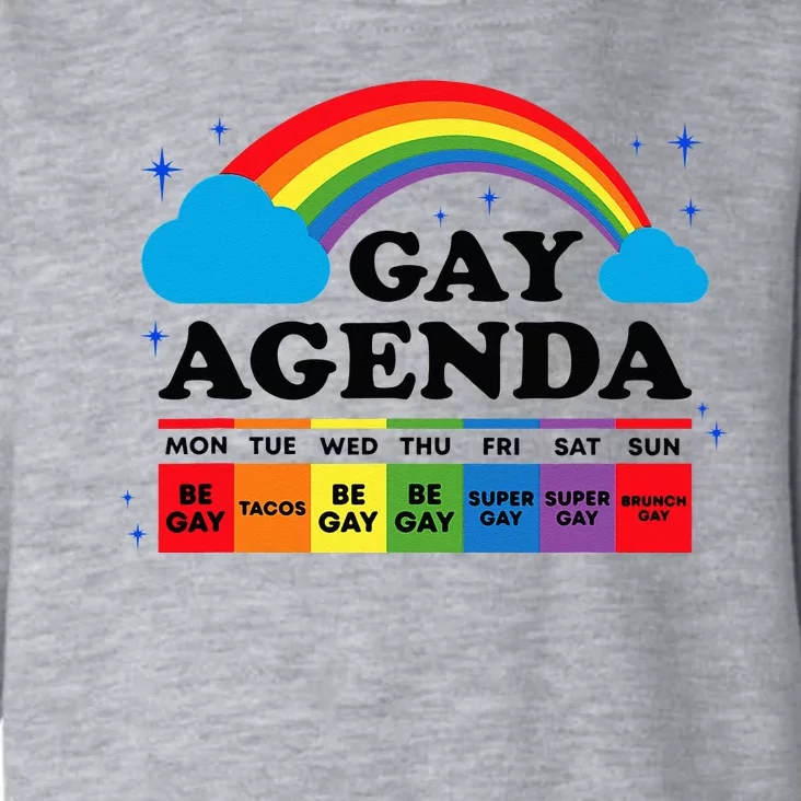 Lesbian Gay Agenda Rainbow Pride Month Funny LGBTQ Ally Homo Toddler Hoodie