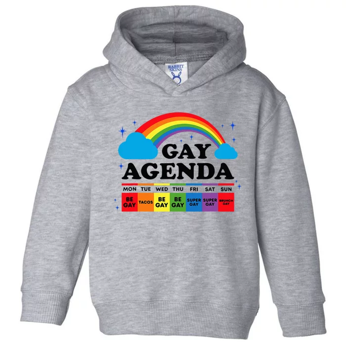 Lesbian Gay Agenda Rainbow Pride Month Funny LGBTQ Ally Homo Toddler Hoodie