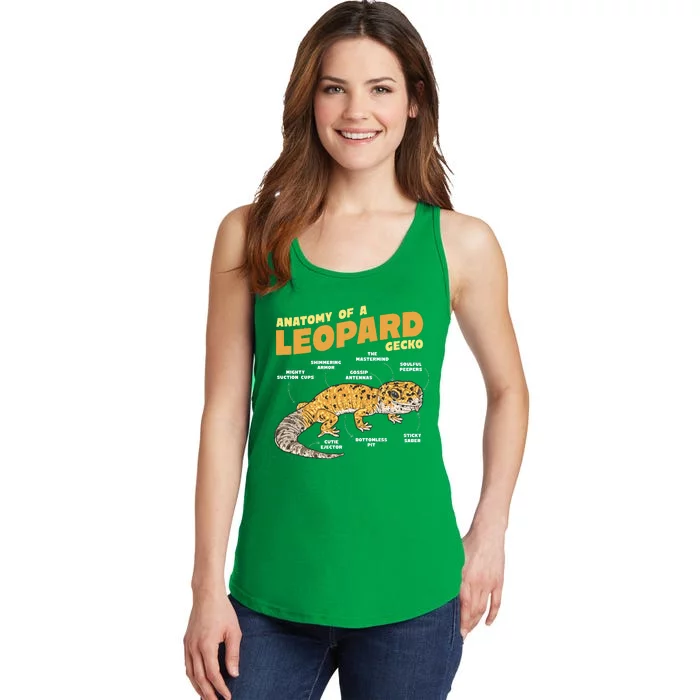 Leopard Gecko Anatomy Ladies Essential Tank