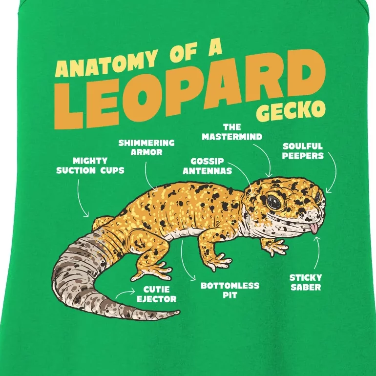 Leopard Gecko Anatomy Ladies Essential Tank