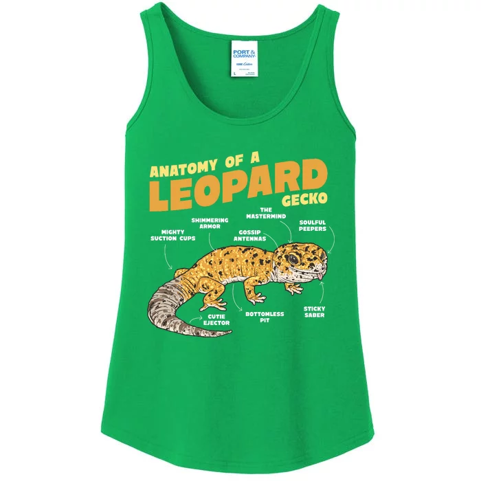 Leopard Gecko Anatomy Ladies Essential Tank